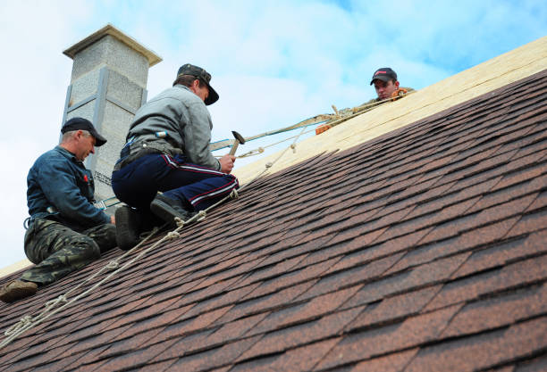Best Metal Roofing Contractor  in Huntsville, MO